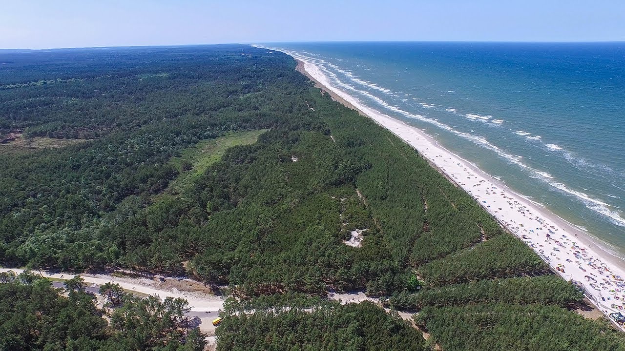 Białogóra's beach and nearby forest view from sky